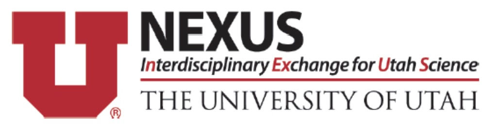 nexus logo white background